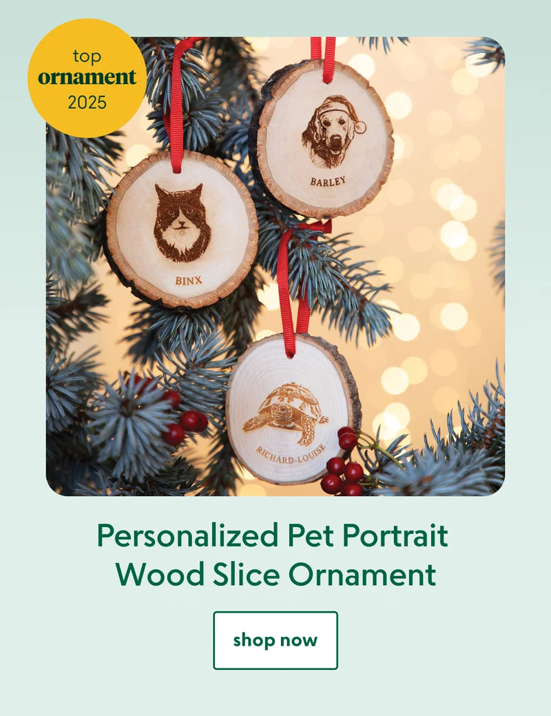 personalized-pet-portrait-wood-slice-ornament