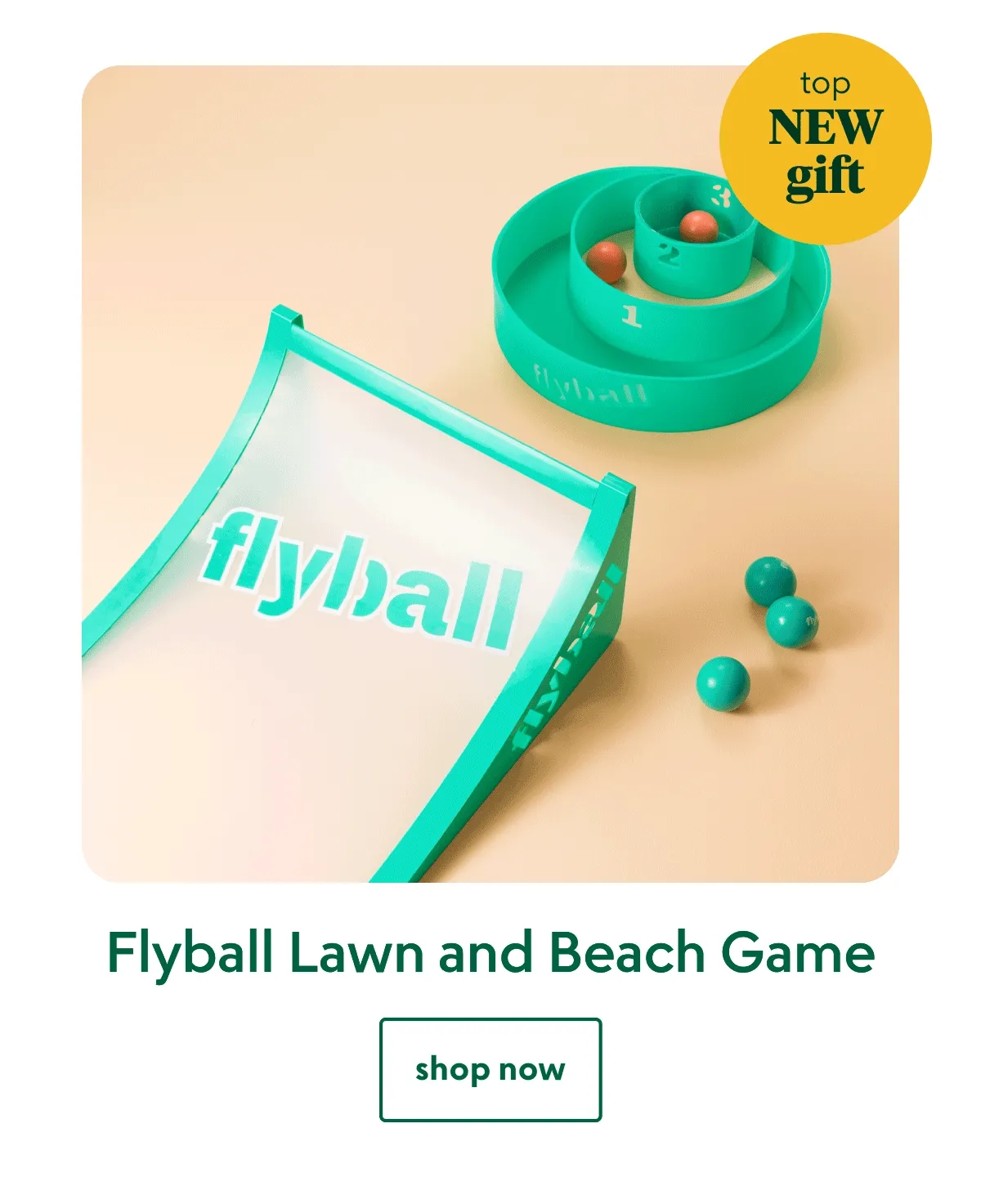 flyball-lawn-and-beach-game