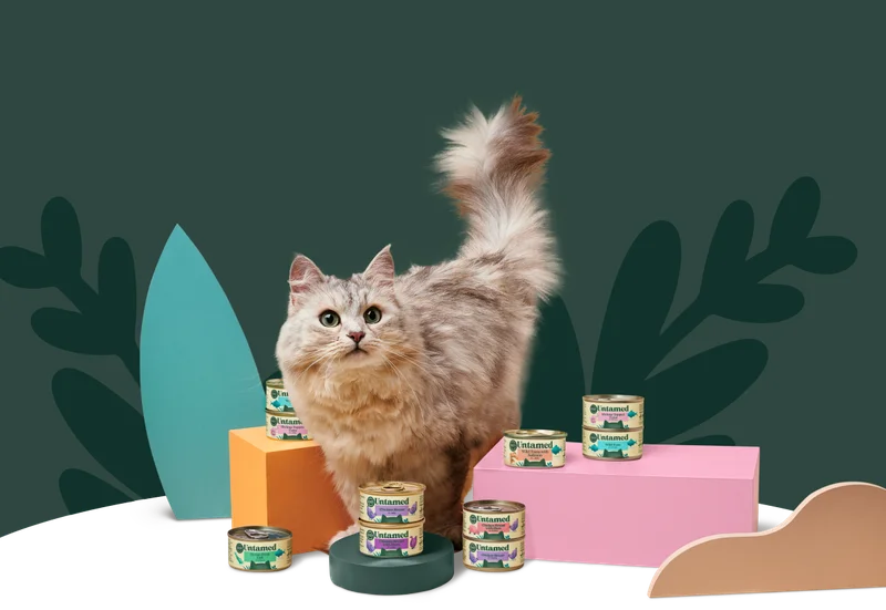 87% of Cats Are Healthier & Happier*