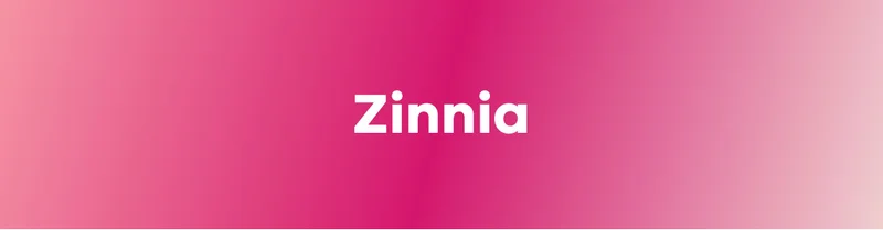 Shop Zinnia