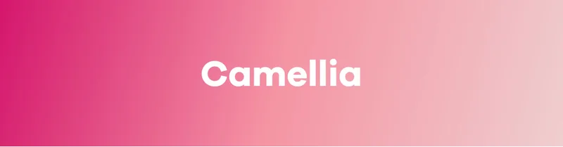 Shop Camellia