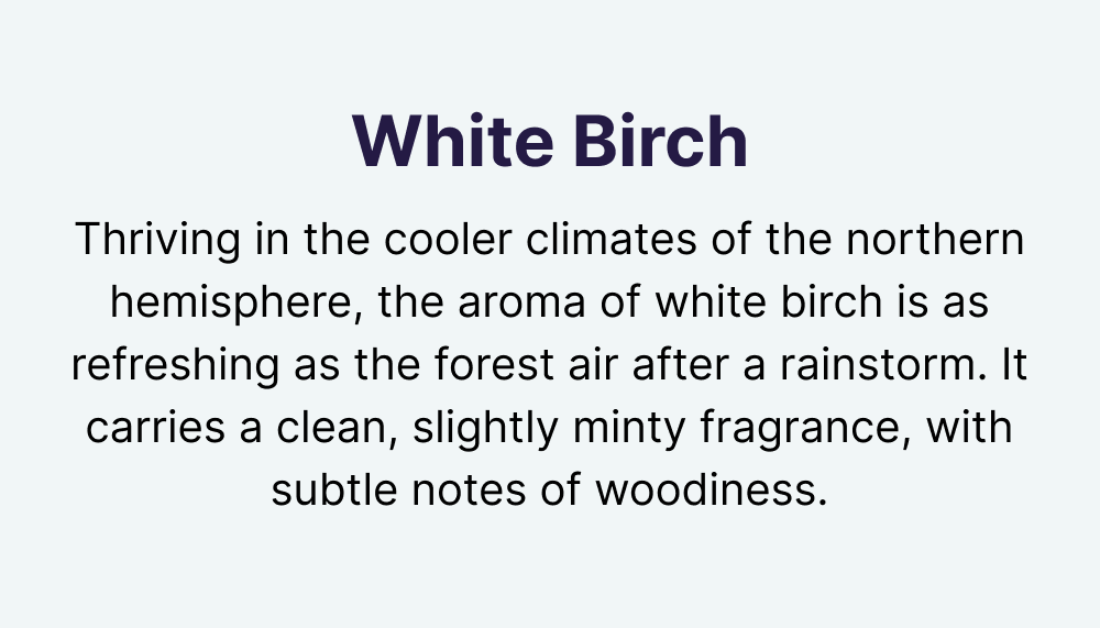 White Birch