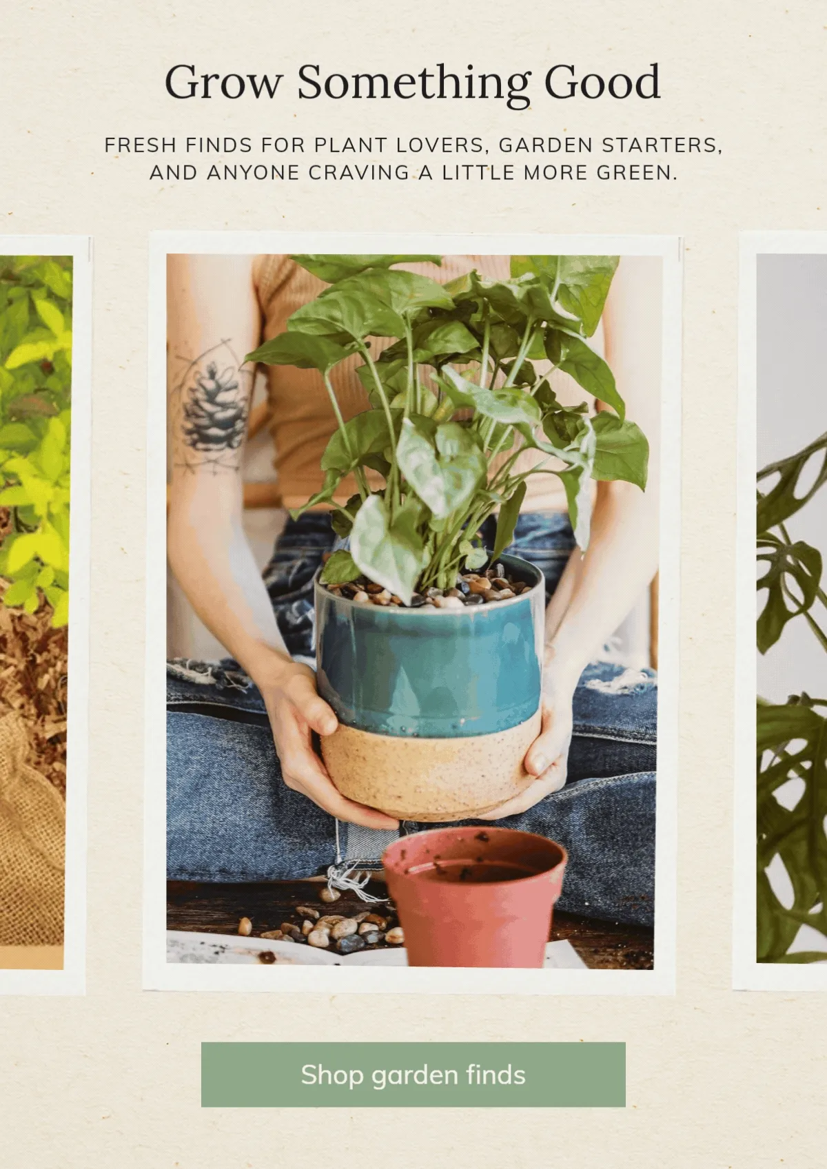 Shop plant and garden finds