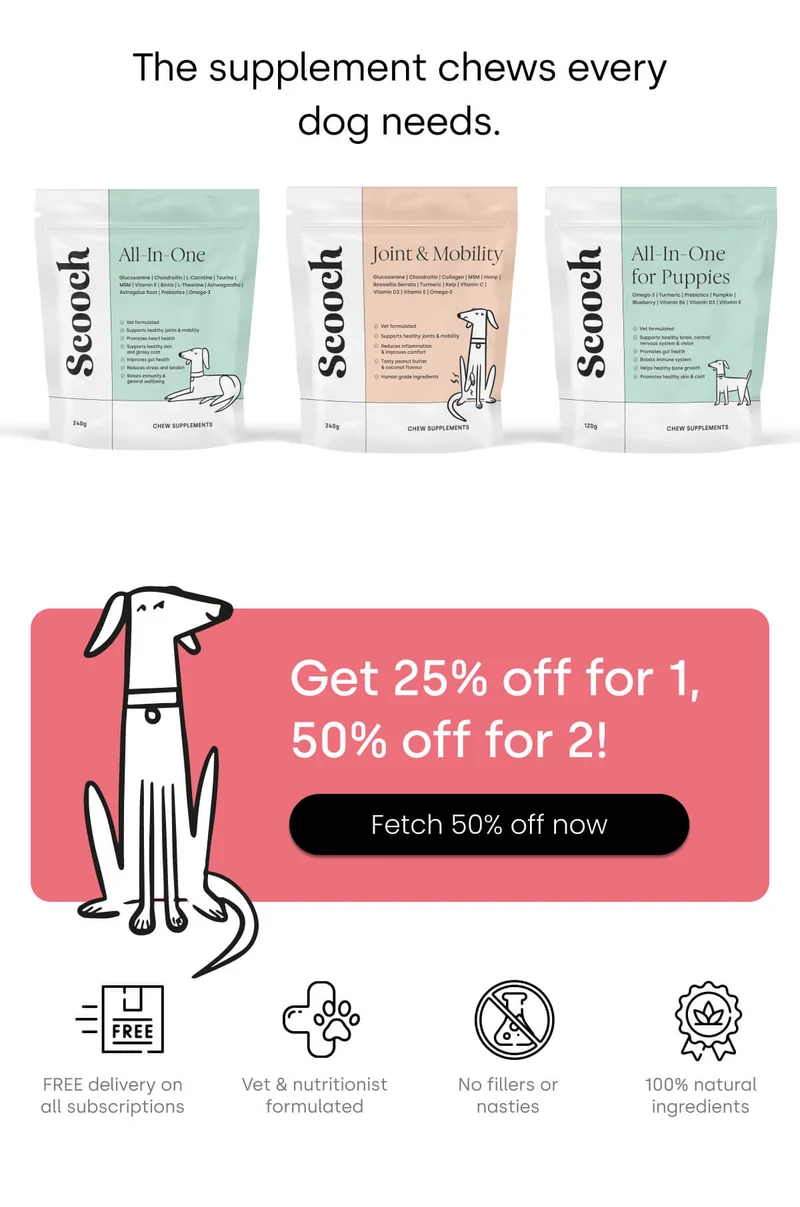 The supplement chews every dog needs. - Fetch 50% off now