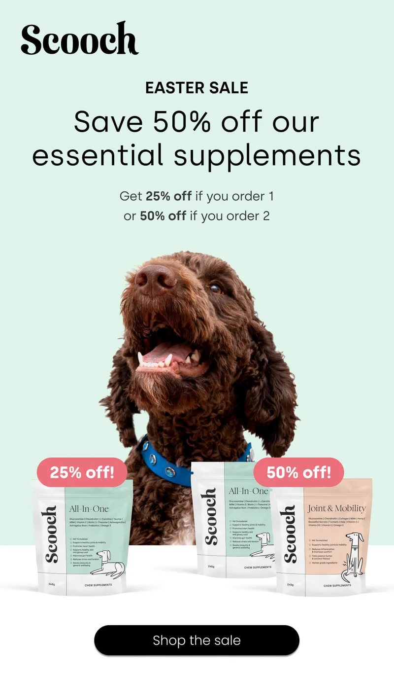 Save 50% off our essential supplements - Shop the sale