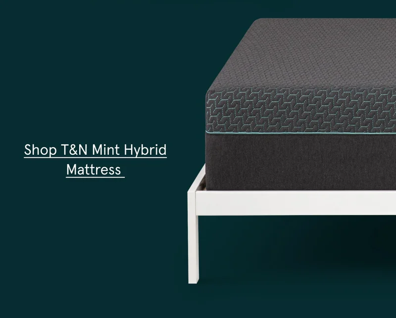 Shop T&N Mint Hybrid Mattress