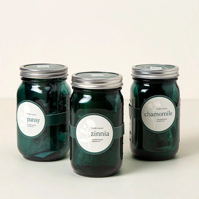 Mason Jar Indoor Flower Garden