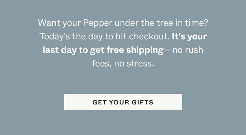 It's your last day to get free shipping—no rush fees, no stress.
