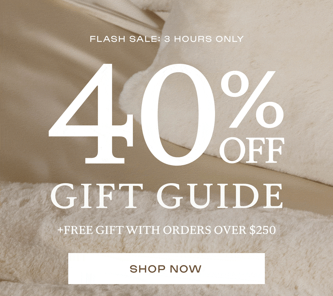 40% OFF THE GIFT GUIDE FOR THREE HOURS
