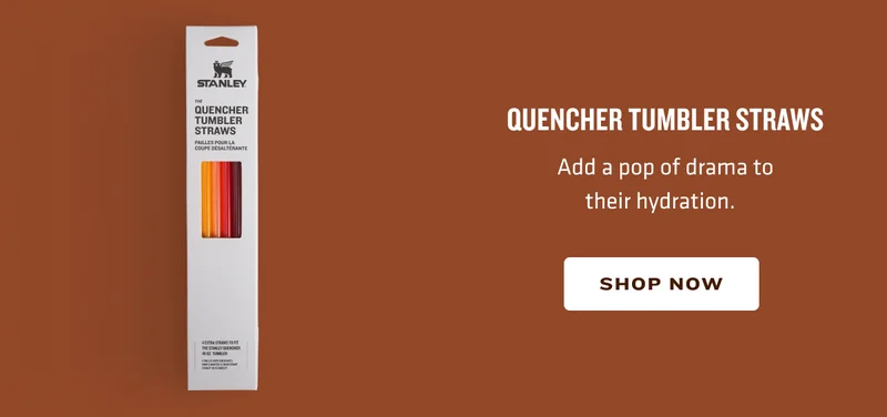 Quencher Tumbler Straws