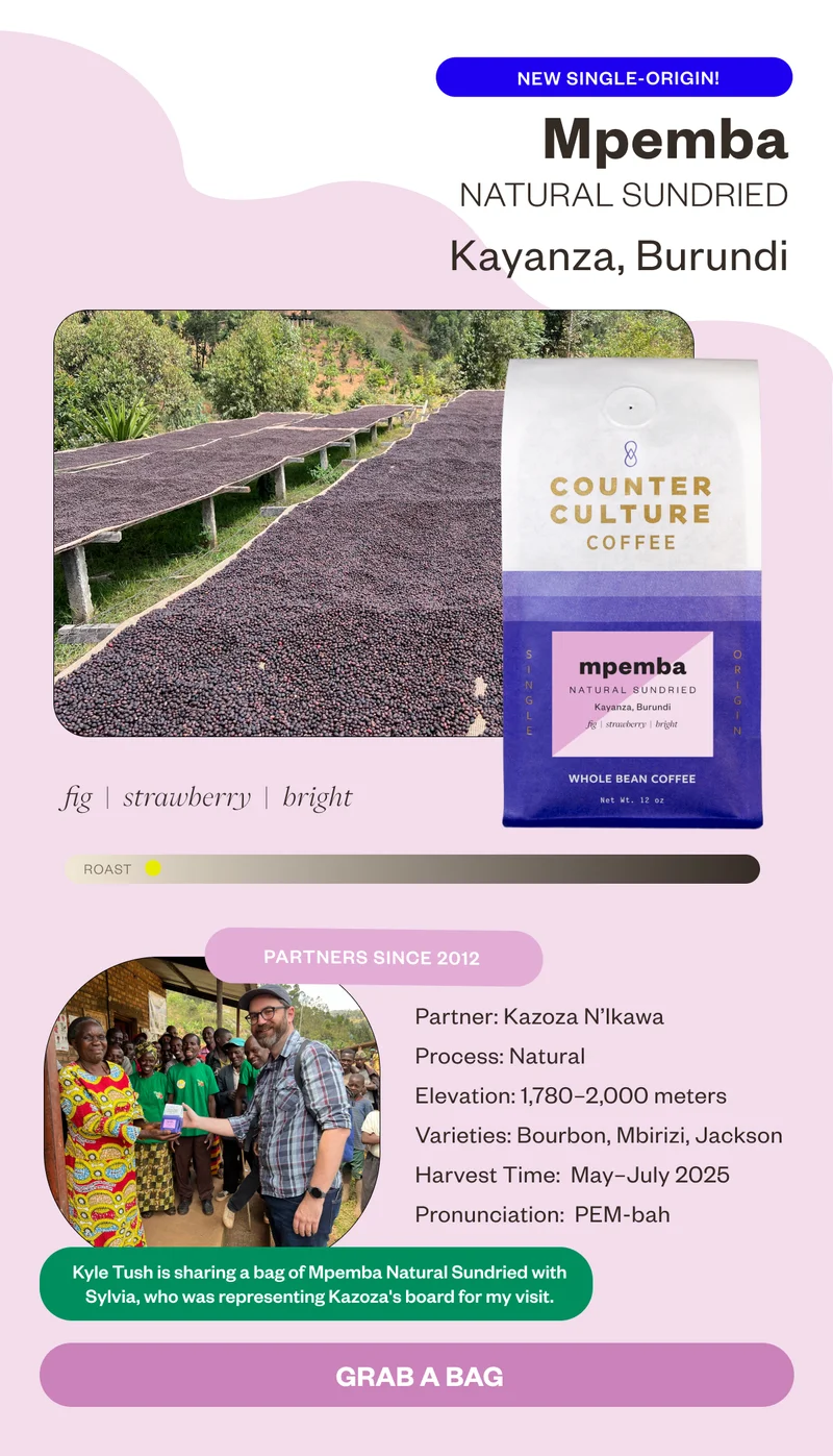 New Single- Origin! Mpemba Natural Sundried Kayanza, Burundi fig strawberry bright  Partners since 2012Process: Natural  Elevation: 1,780–2,000 meters Varieties: Bourbon, Mbirizi, Jackson Harvest Time: May–July 2025Pronunciation: PEM-bah CTA Grab a Bag