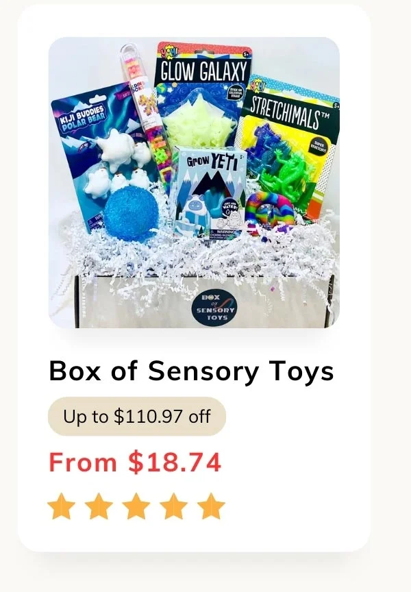 Box of Sensory Toys