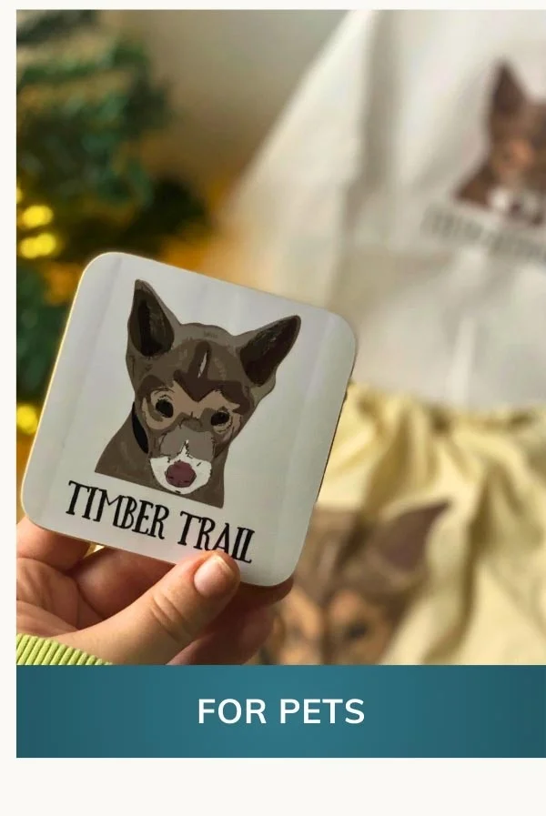 Sale gifts for pets