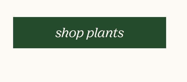 Shop Plants