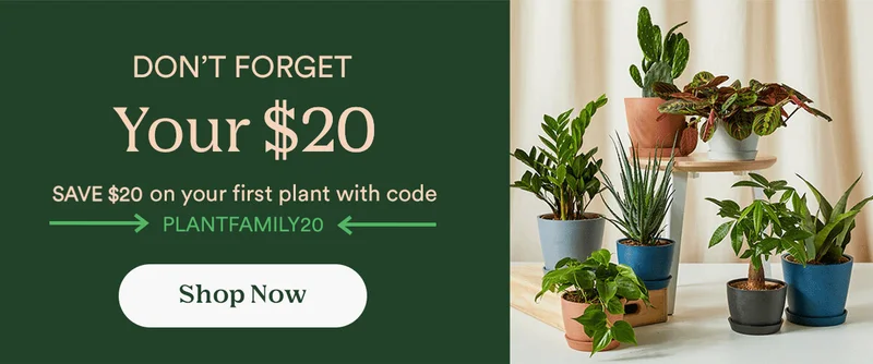 Don't forget your $20 off!