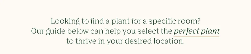 find your perfect plant!