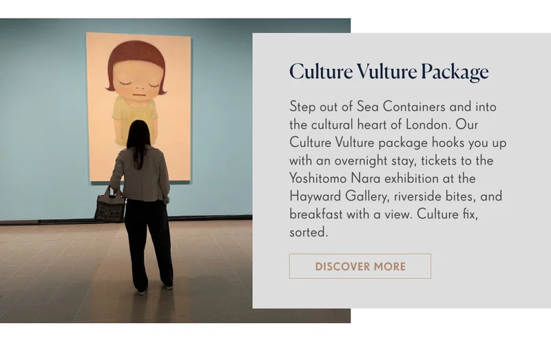 CULTURE VULTURE PACKAGE