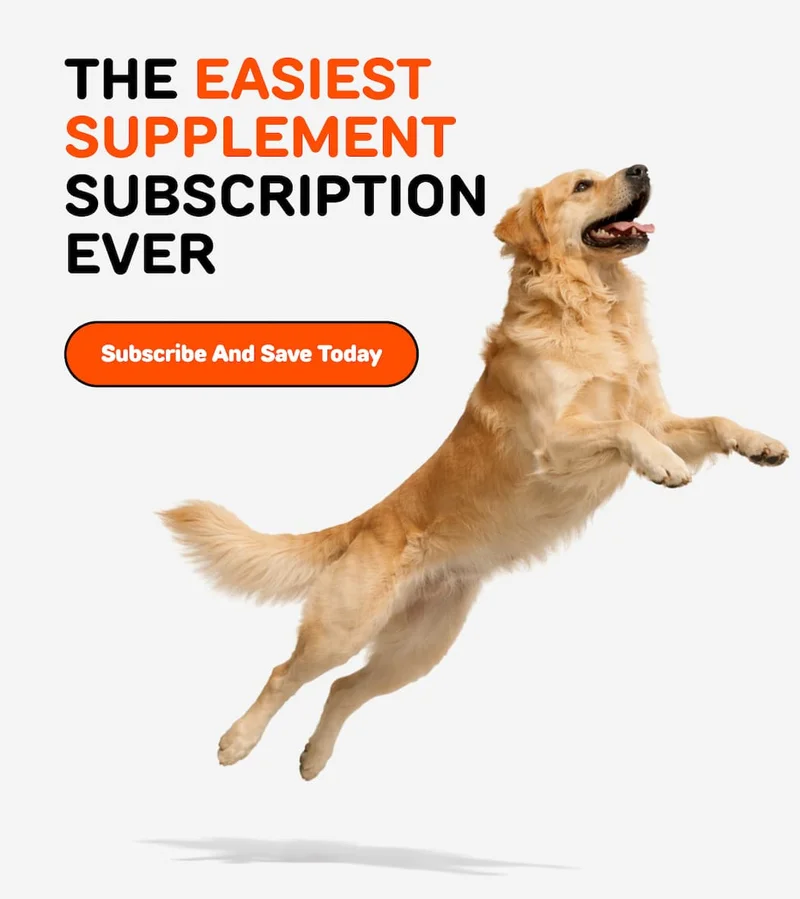 THE EASIEST SUPPLEMENT SUBSCRIPTION EVER