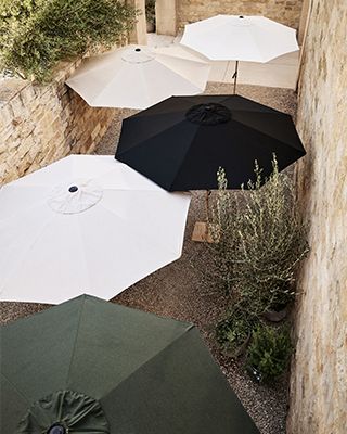 umbrellas