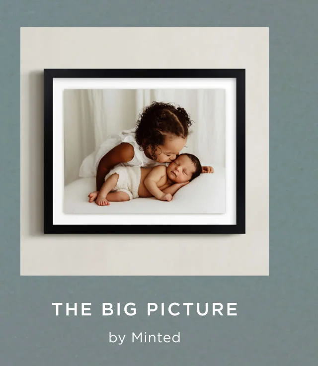 The Big Picture