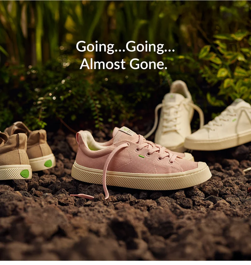 Going...Going...Almost Gone.