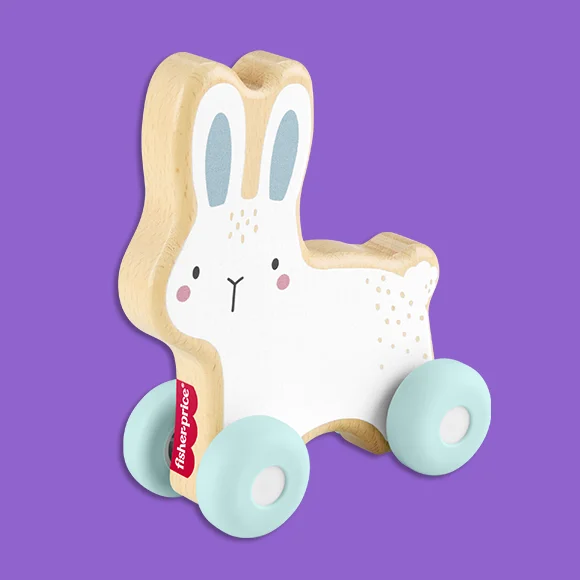 Wooden Push-Along Bunny
