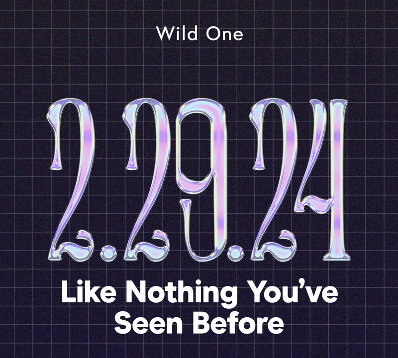 Like Nothing You've Seen Before