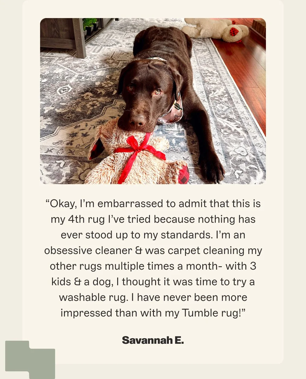 “Okay, I’m embarrassed to admit that this is my 4th rug I’ve tried because nothing has ever stood up to my standards. I’m an obsessive cleaner & was carpet cleaning my other rugs multiple times a month- with 3 kids & a dog, I thought it was time to try a washable rug. I have never been more impressed than with my Tumble rug!”