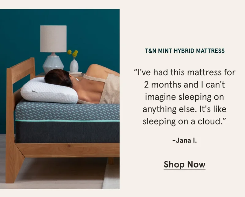 T&N Mint Hybrid Mattress | Shop Now