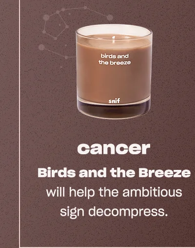 Shop Birds and the Breeze ↗