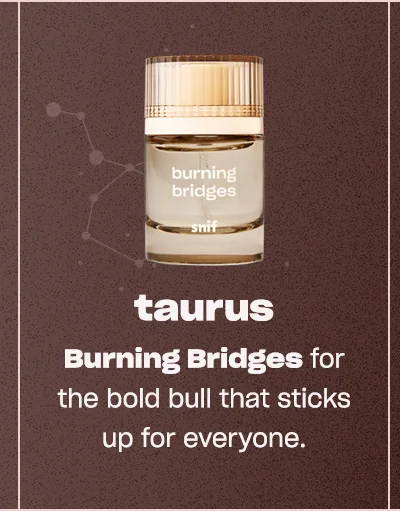 Shop Burning Bridges ↗