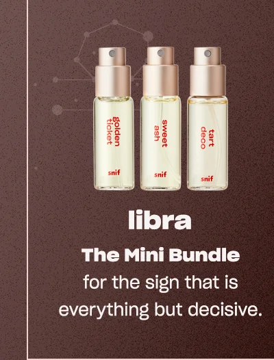 Shop Mini Bundle ↗