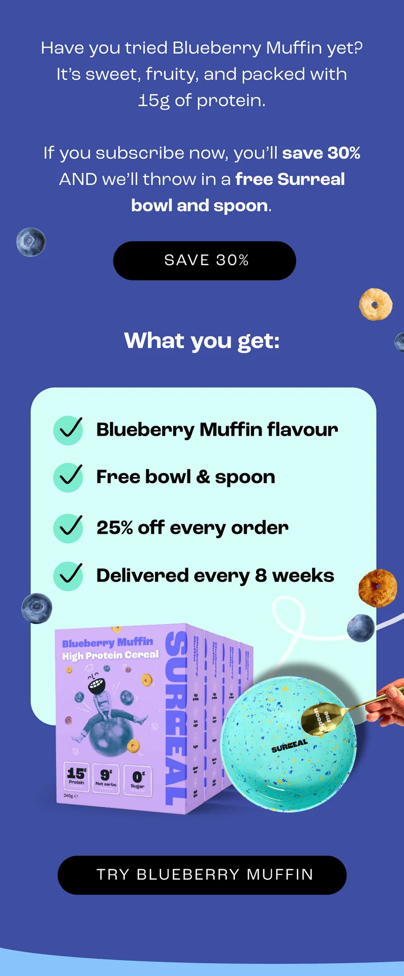 Try Blueberry Muffin