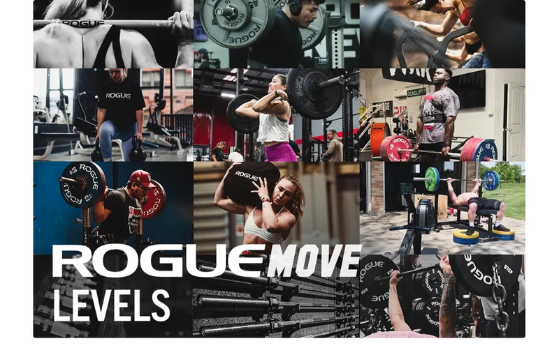 Rogue Move Levels (Subscription)