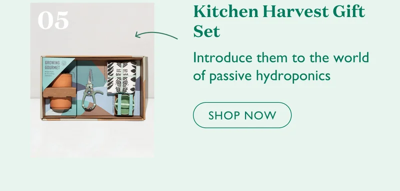 Shop Kitchen Harvest Gift Set