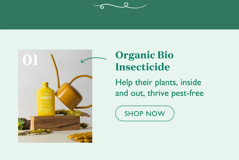 Shop Organic Bio Insecticide