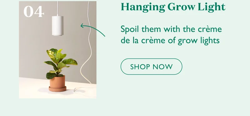Shop Hanging Grow Light