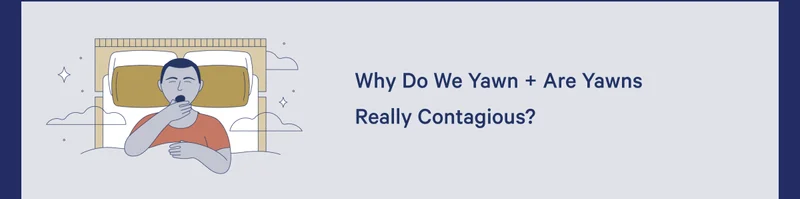 Why So We Yawn + Are Yawns Really Contagious? >>
