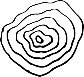 a drawing of the rings in a tree