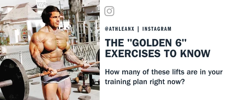 franco columbu lifting weights at venice beach