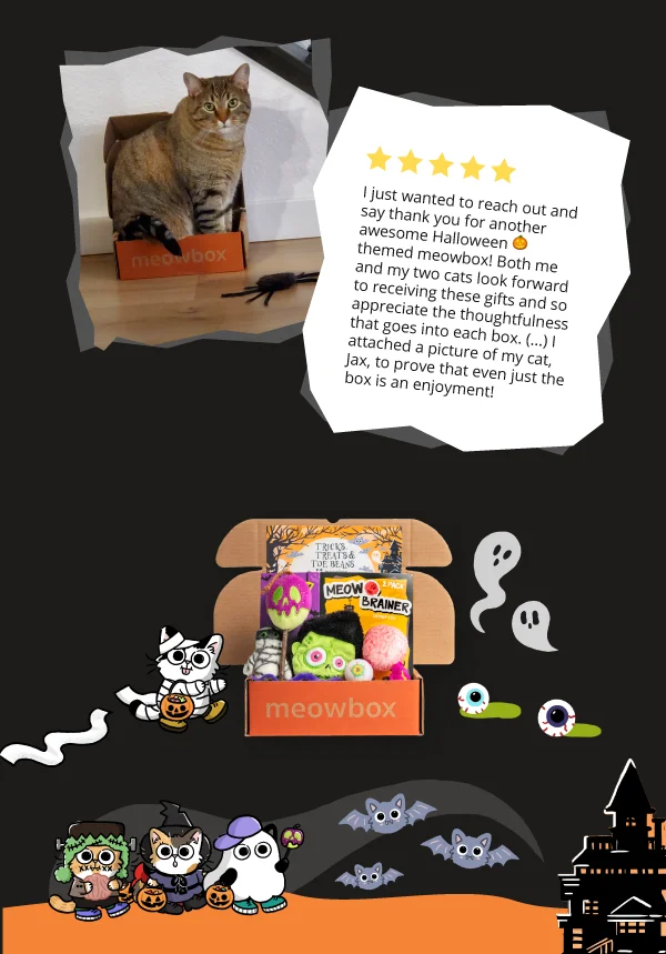 5 star testimonial: I just wanted to reach out and say thank you for another awesome Halloween 🎃 themed meowbox! Both me and my two cats look forward to receiving these gifts and so appreciate the thoughtfulness that goes into each box. (...) I attached a picture of my cat,  Jax, to prove that even just the box is an enjoyment! Next to testimonial is an image of a cat next to the spider toy.