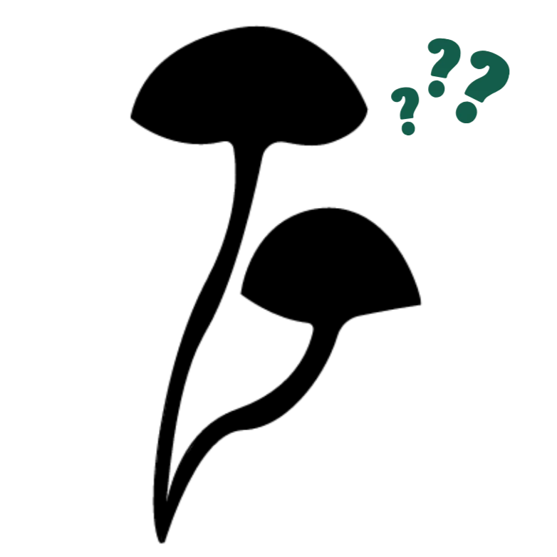 Image of FREE Mystery Gifts