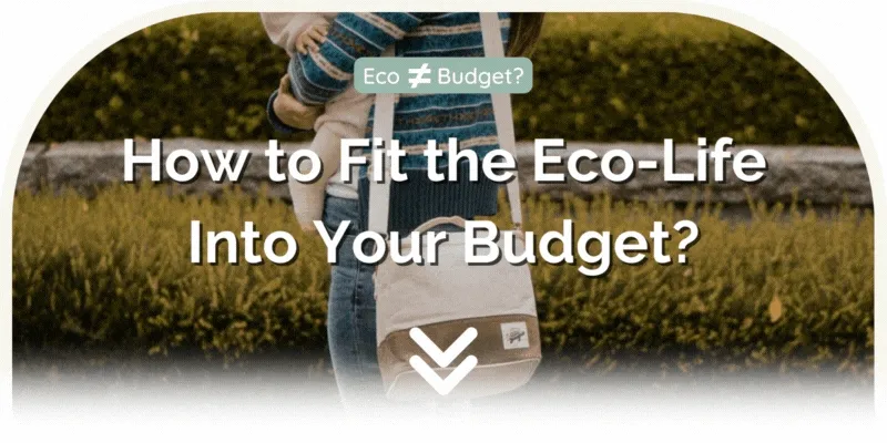 Eco-Collective Company