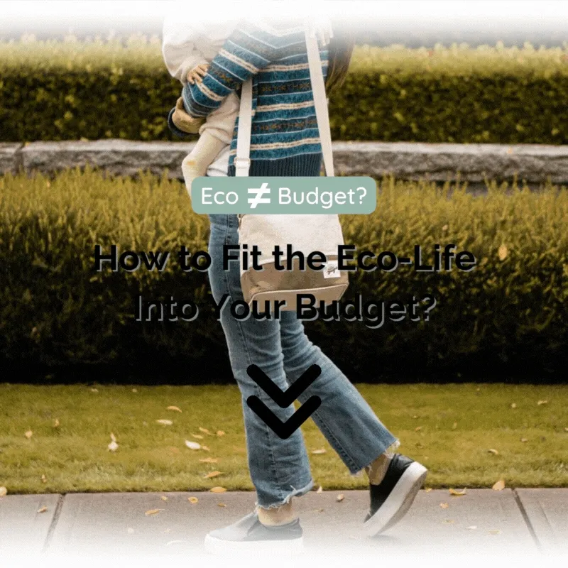 Eco-Collective Company