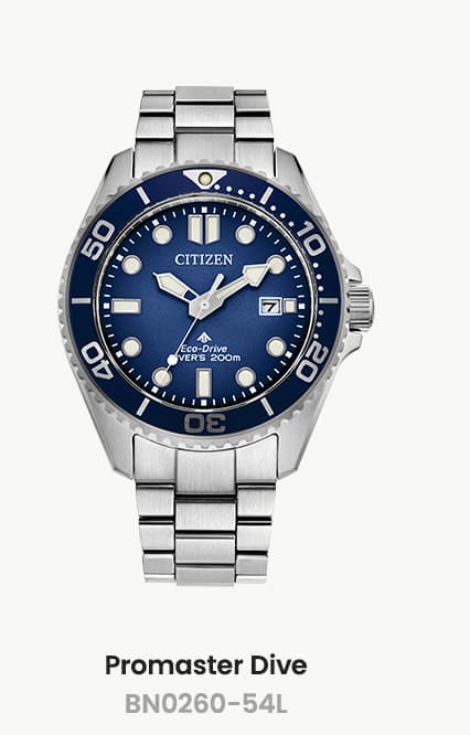 Promaster Dive- BN0260-54L
