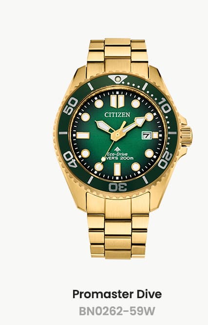 Promaster Dive- BN0262-59W