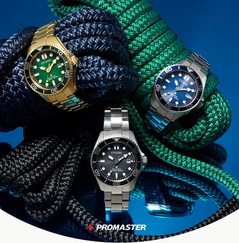 Promaster Dive