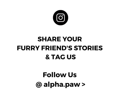 Follow us