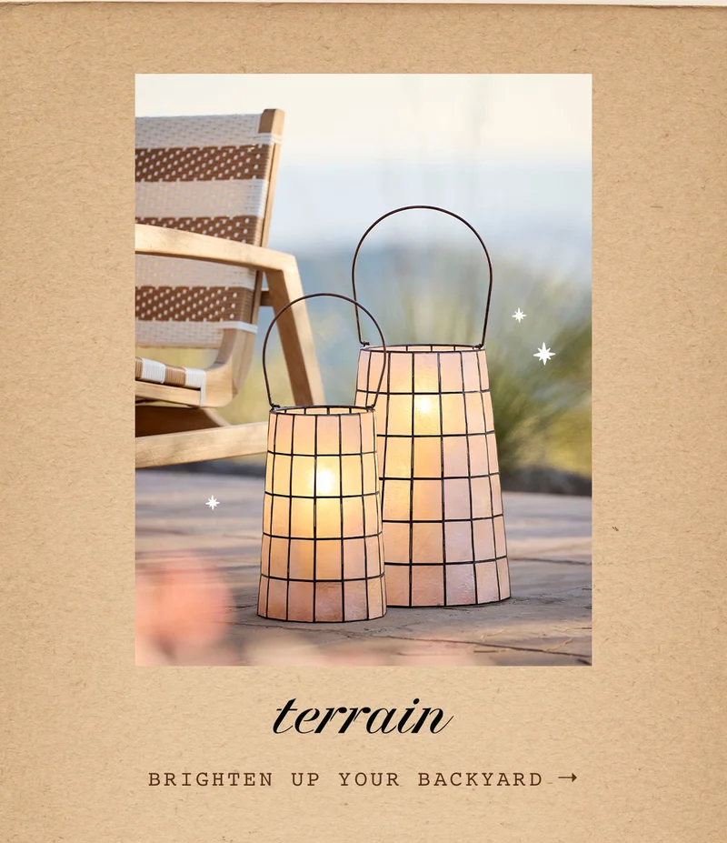 Terrain. Brighten up your backyard