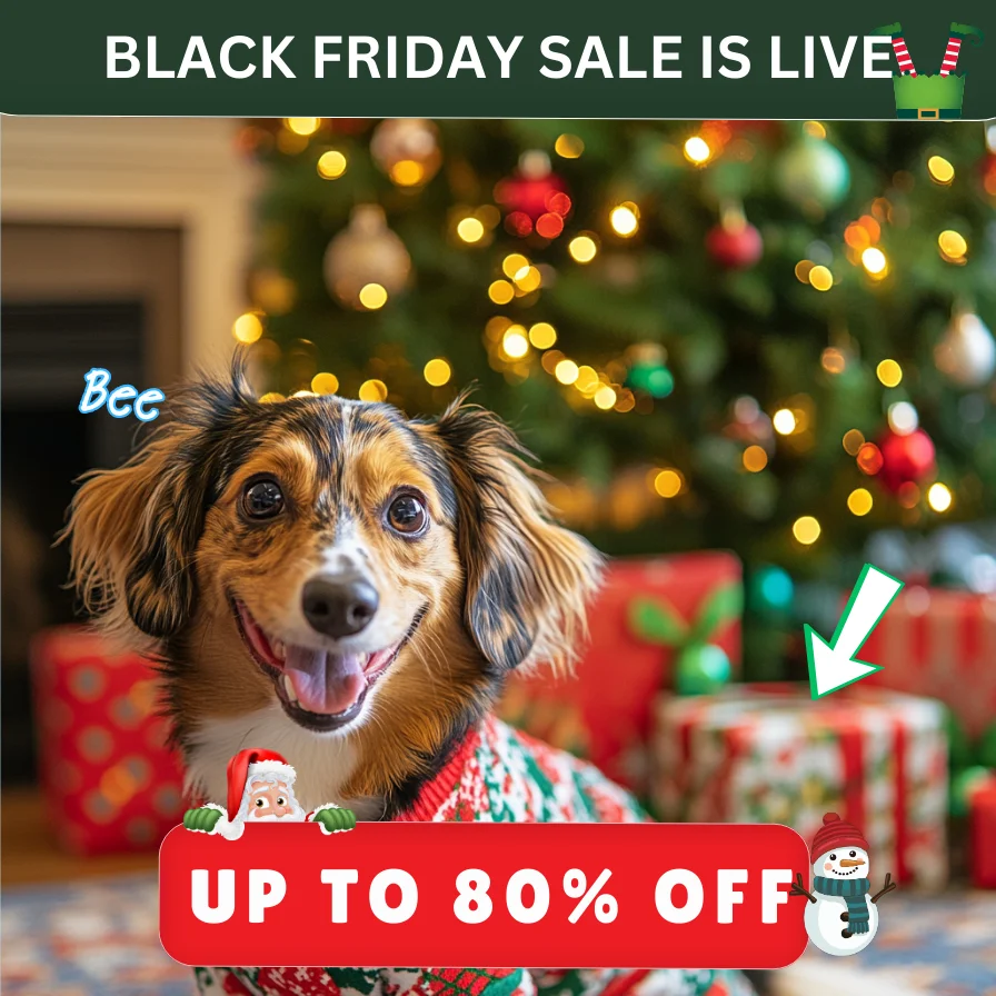 Up to 80% off! Pawliday sale